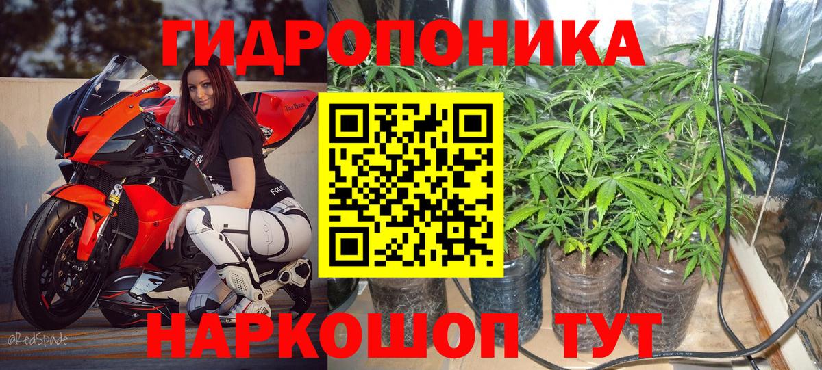 Каннабис конопля  Марихуана Amnesia  Барнаул  Канабис марихуана  Конопля гибрид  Вход с VPN 
